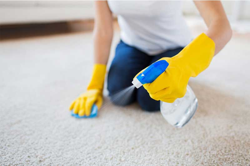 springclean_06